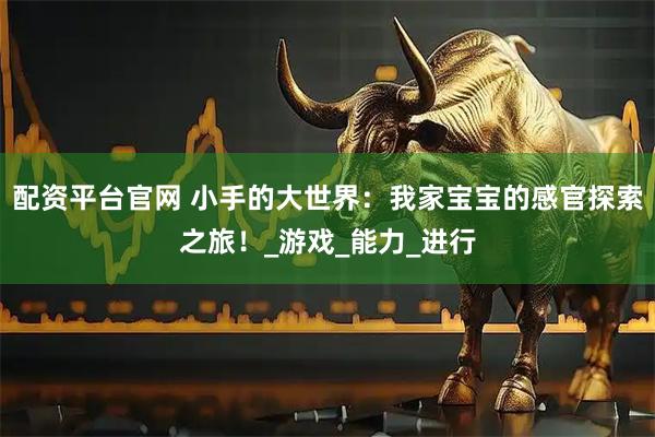 配资平台官网 小手的大世界：我家宝宝的感官探索之旅！_游戏_能力_进行