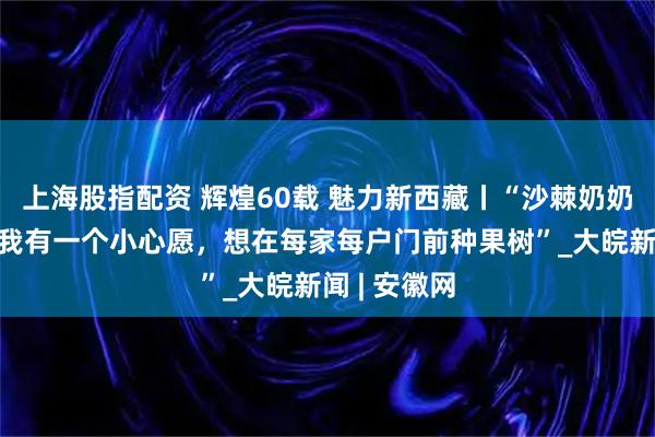 上海股指配资 辉煌60载 魅力新西藏丨“沙棘奶奶”桑旦：“我有一个小心愿，想在每家每户门前种果树”_大皖新闻 | 安徽网